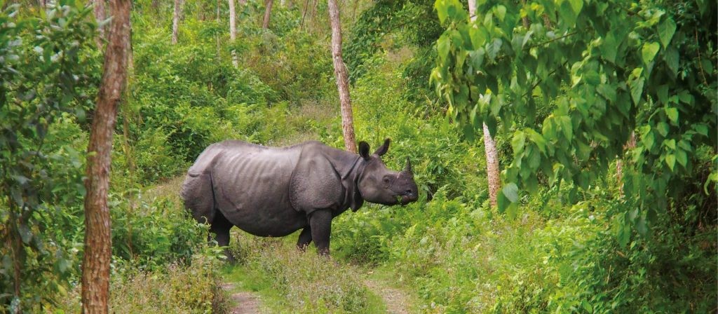 Chitwan-National-Park-340-1686531407.jpg