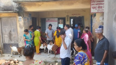goat-bitaran-1688530916.jpg
