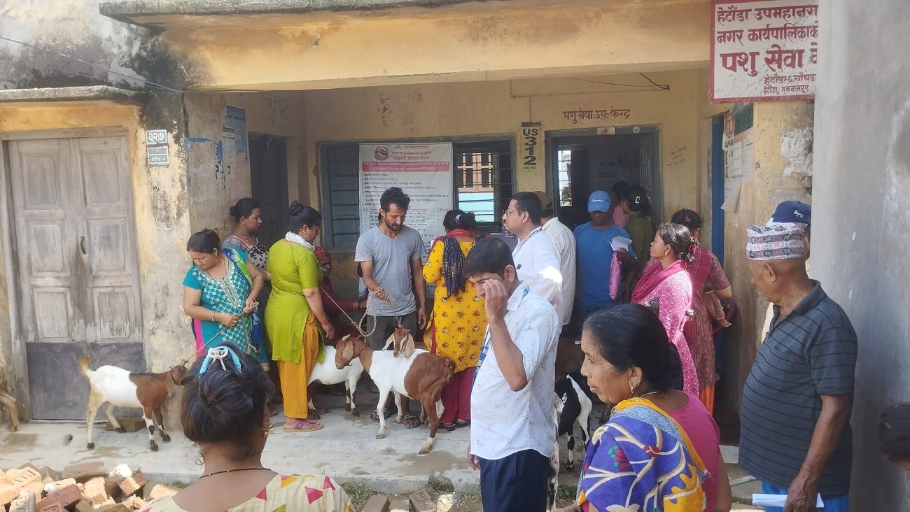 goat-bitaran-1688530916.jpg