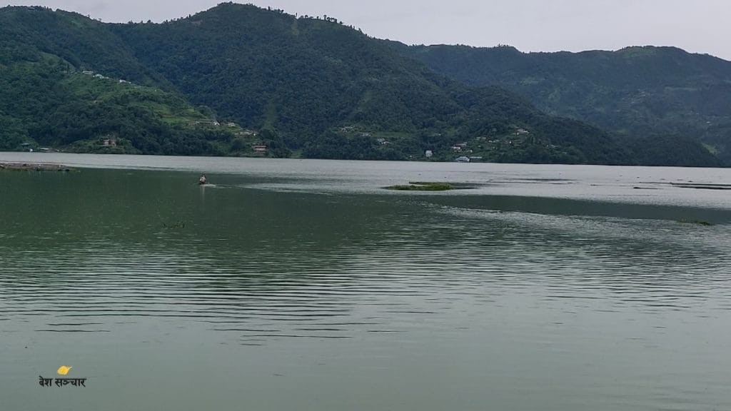 Jalakhumbhi_Fewa-Taal_Pok-1691161304.jpg
