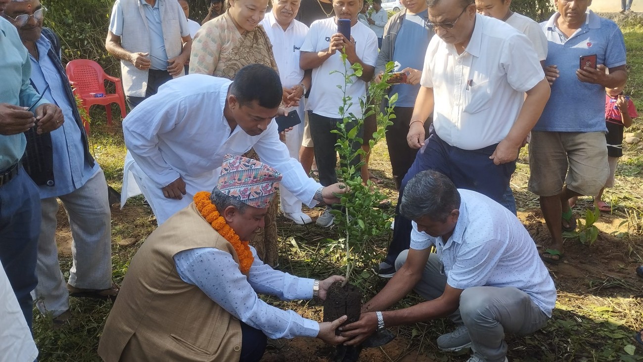 plantaing-1695120850.jpg