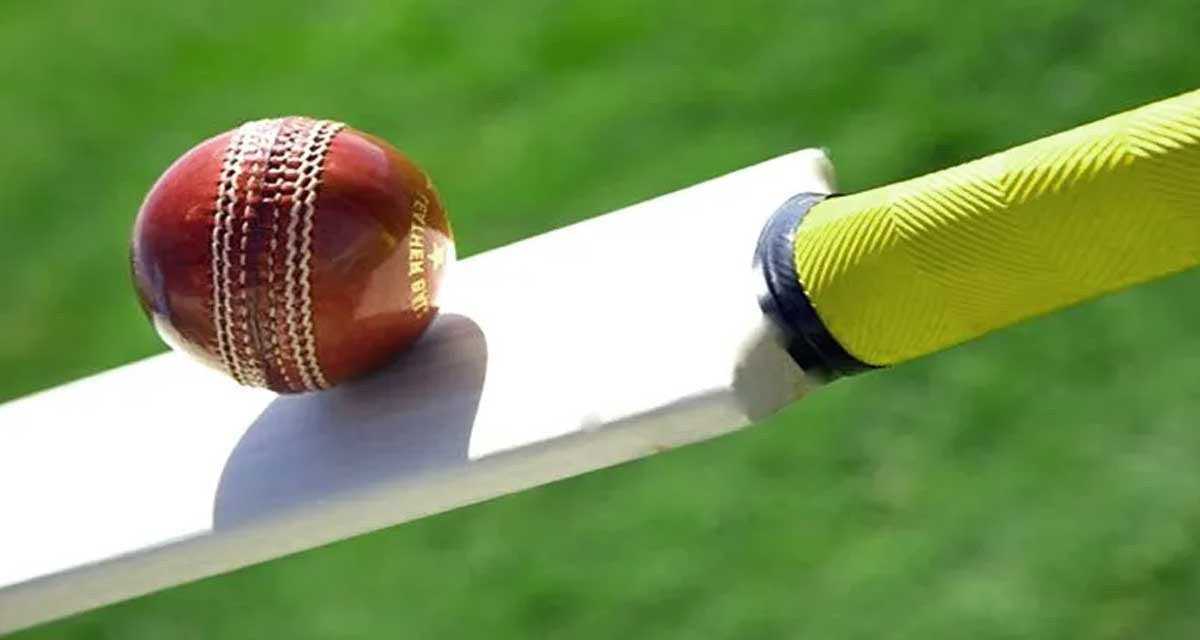 cricket-1701674903.jpg