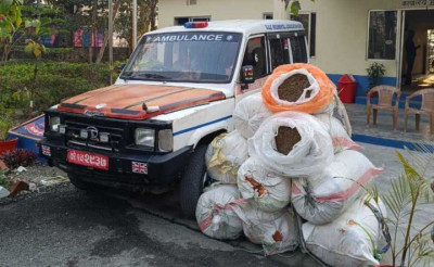Gaja-in-Ambulance-1708843082.jpg