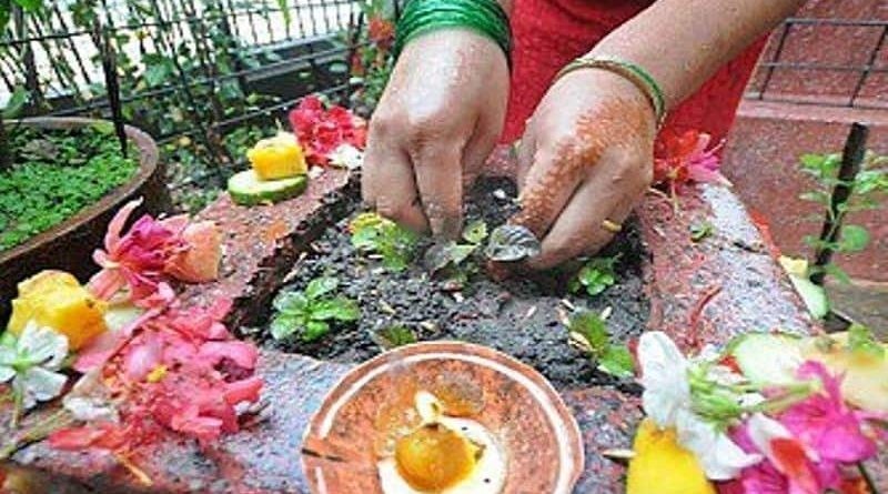 harisayani-Ekadashi-Tulas-1721181391.jpg