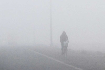 Fog_1-1637851144-1732755568.jpg