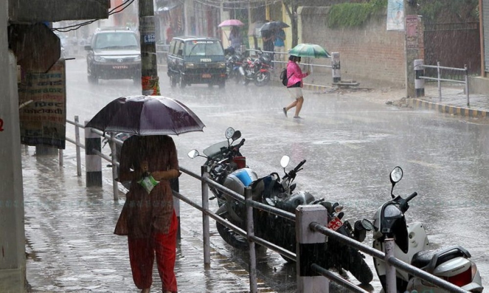 16655388081665538808-1736643142.jpg