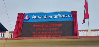 55564-1743124806.jpg