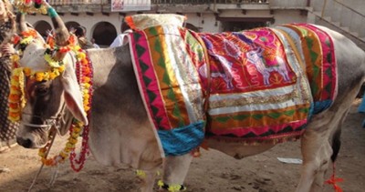 govardhan-pooja1-1761105702.jpg