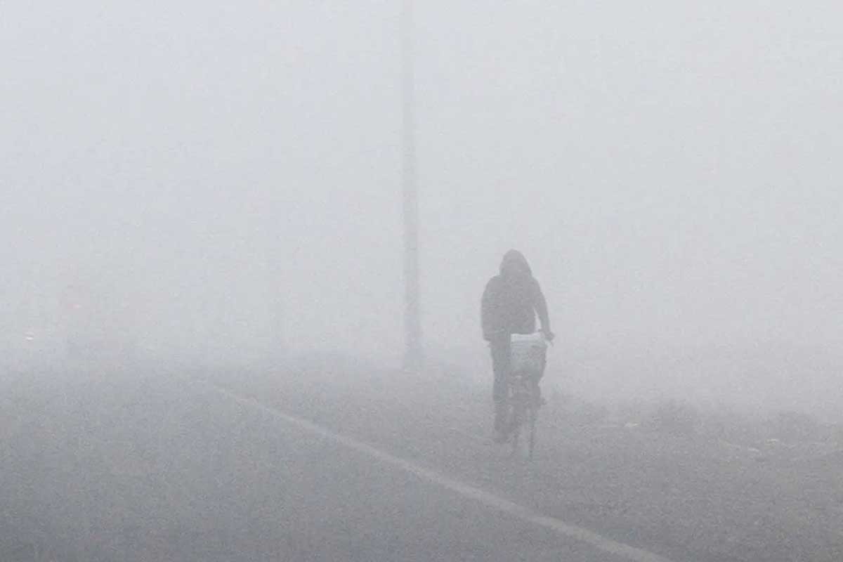 Fog_1-1637851144-1766714890.jpg