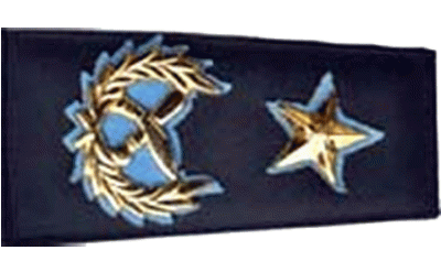 AIG-1783006442.gif